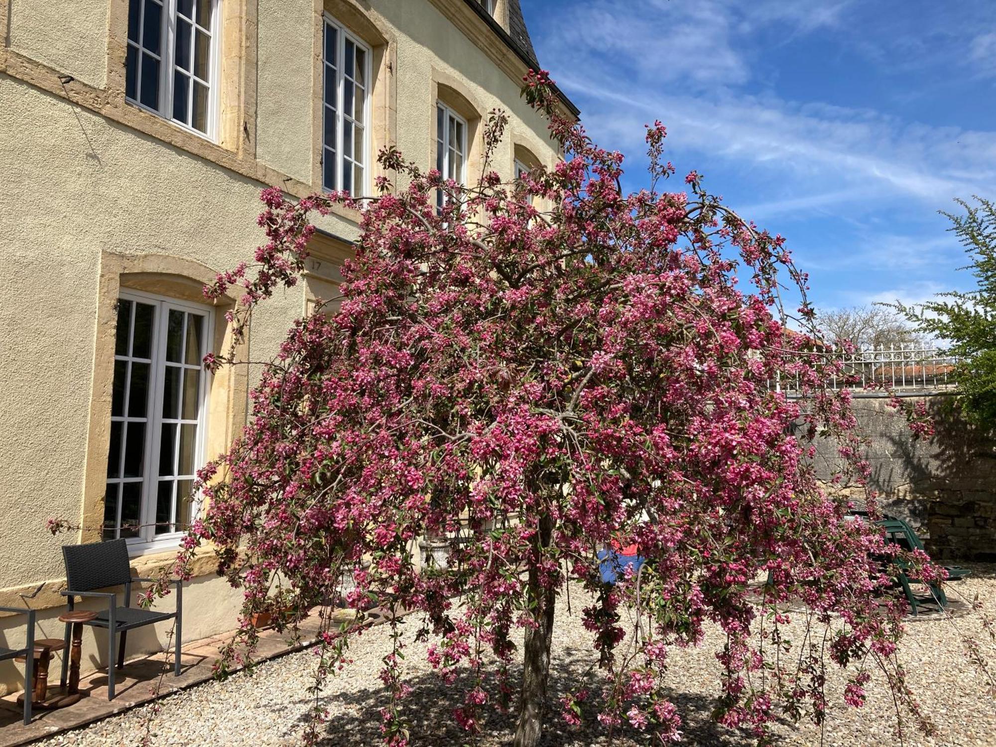 Maison Les Beaux Arts Mouzay  Zewnętrze zdjęcie